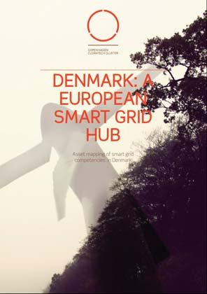 Danish Smart Grid position Smart Grid