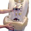 Securing Your Child Securing Your Child Once the child seat has been installed in the vehicle and adjustments