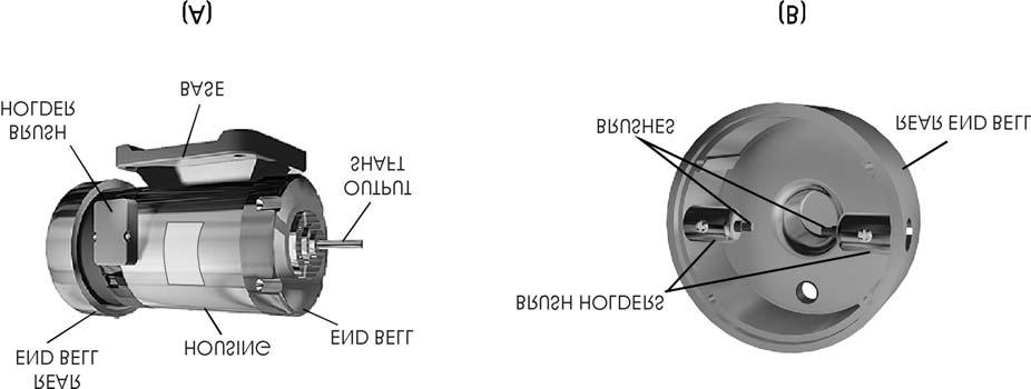 2 DC Motor and Generator Theory FIGURE 1 Figure 1A shows an external view of a DC motor. Figure 1B shows the rear end bell, the brushes, and brush holders.