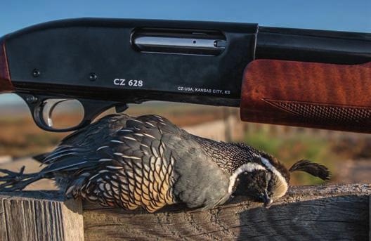 PUMP ACTION CZ 612 FIELD Simple, strong and smooth, the 612 Field is designed to shoot everything from targets to turkeys.