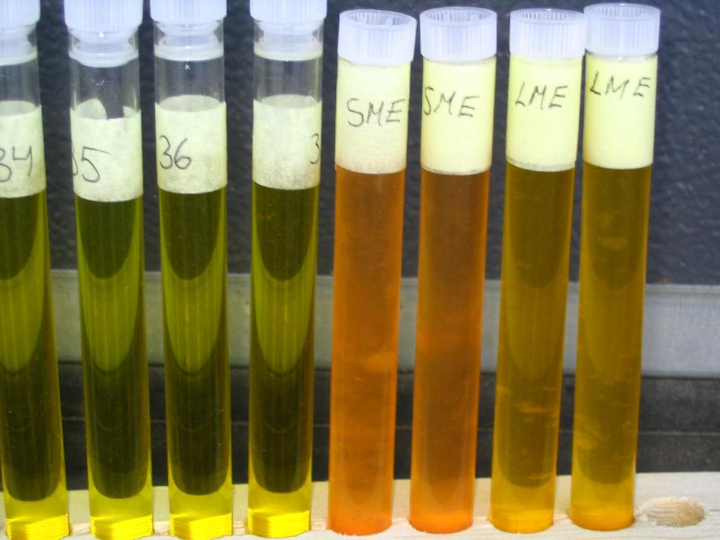 Fatty acid profile comparison with RME RME (Rape Methyl Ester) is the most popular type of biodiesel in Europe Salmon oil based FAME fatty acid profile is more complicated than RME s profile and