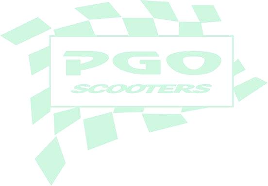 DEAR CUSTOMERS: Thank you for choosing PM-NAKED/PMS/PMX of PGO scooter. It is a fact that the efficiency and sustaining life of each scooter depend heavily on the operating method of each user.