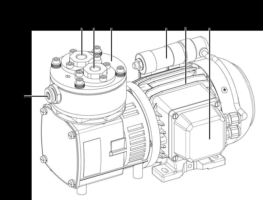Diaphragm Pumps N 026 FT.16 E and N 726 FTE Design and function 1 Pneumatic outlet 2 Pneumatic inlet 3 Pump head 4 Capacitor 5 Motor 6 Terminal box 7 Adjusting screw for flow (see section 7.2) Fig.
