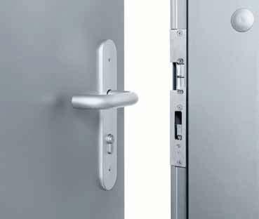 Optional special and additional locks: Anti-panic locks with different functions Double cylinder lock (locked with 2 different cylinders) Bolt lock, additionally prepared for profile cylinder Block