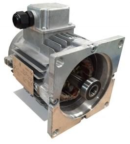 4poles: 0,75kW (71) 1,1kW (80) 2,2kW (90) 11kW (132) - reduced IEC flanges and shafts, or special dimension for coupling with many