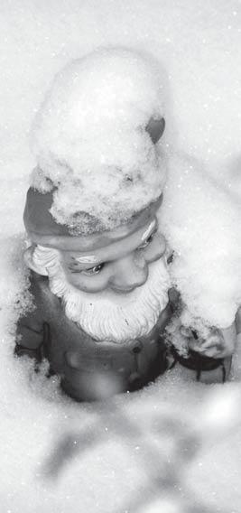 Ja siis saabub jõulumees, Ilus aasta ootab ees. Ranel-Tanis Olev Igal pool on suured hanged, taevast lund veel alla langeb. Mängitakse õues sõda, valmis saab ka lumekoda.