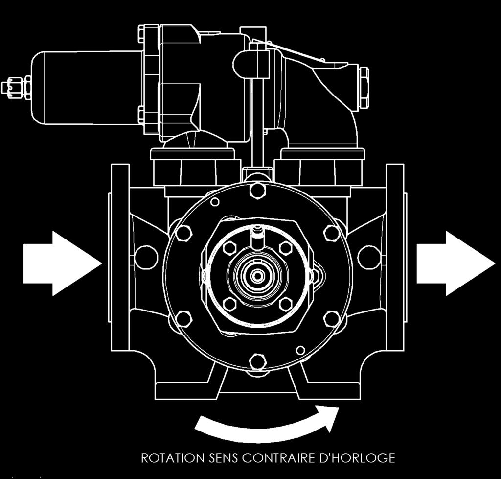 2. INSTALLATION (continued) 2.4 Direction of rotation In its standard configuration, the MOUVEX P BI series pump is supplied as reversible and with counterclockwise rotation.