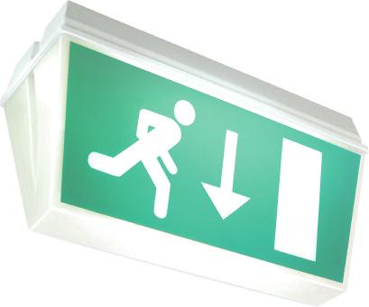 Exceptional legend enhancement using the cold cathode light source 30 metres viewing disance with a Euro pictogram legend panel ODV/CC/3-001/XE22 Double sided exit sign, with Euro pictogram