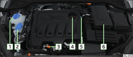 Take the bonnet support out of its holder 3» Fig. 157 in the direction of the arrow and secure the opened bonnet by inserting the end of the support into the opening 4.