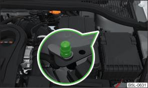 Negative cable - colour coding in the majority of cases is black. Jump-starting in vehicles with the START-STOP system Fig. 180 Engine earth: START-STOP system on page 226.