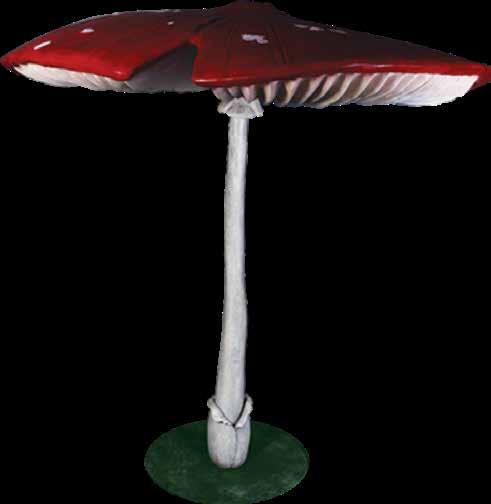 Mushroom Giant - 3