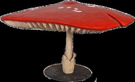 100107 Mushroom