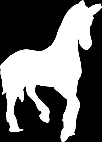 170170 Unicorn Foal