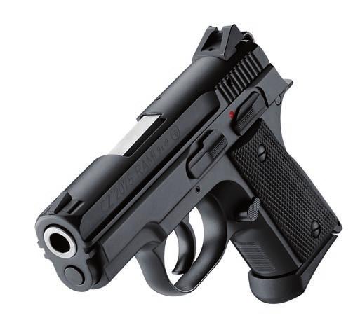 there is AN ARRAY of safety FEAtUREs, including FiRiNG pin BloCK AND MANUAl safety.