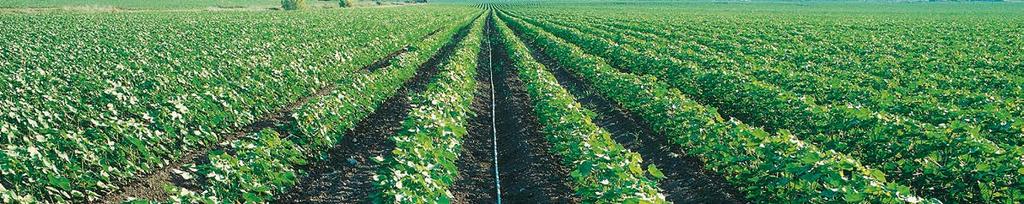 ARIES TWD INTEGRAL DRIPPER 16125-16150 - 22125 22135-22150 APPLICATIONS n On-surface multi seasonal row crops. n Permanent sub-surface multi seasonal row crops.