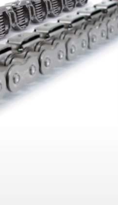 Our high-performance roller chain is now available with both conventional and innovative new side-swivel gripper attachments for form, fill, and vacuum seal applications.