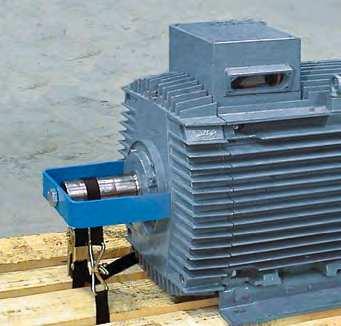 Further information about testing of electric motors can be found online via skf.com. Fig.