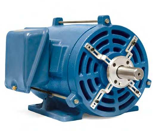 8 SKF solutions Application specific solutions Application specific solutions Induction motors equipped with frequency converters Since the 1990s, the use of pulse width modulated (PWM) frequency