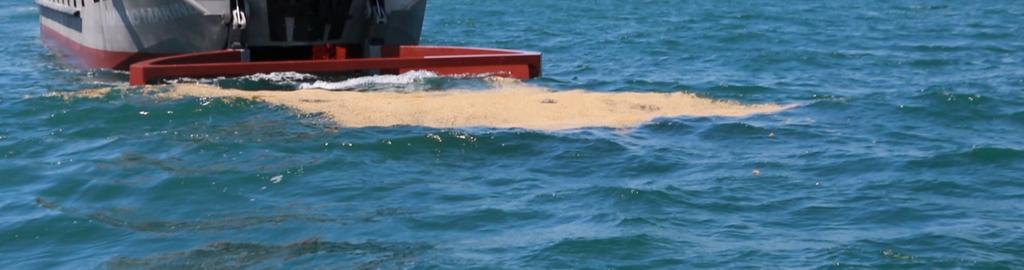 SpillCleaners are multipurpose vessels that combine the functionality of an offshore vessel with those of a cleanup vessel.