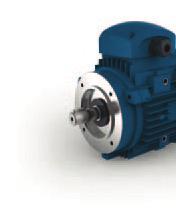 DRIVE ACCESSORIES STANDARD MOTORS (ASYNCHRONOUS) Motors with aluminum cast chassis up to group 132 and iron cast from group 160 onwards according to the IEC72-1 standard.