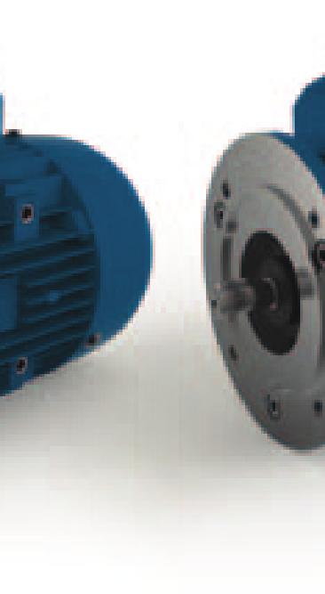 Motors can optionally be supplied with Premium IE3 efficiency from 0.75 kw. SPEED 4 poles (1,500 rpm). Optionally, 2 poles (3,000 rpm), 6 poles (1,000 rpm), 8 poles (750 rpm) and 12 poles (500 rpm).