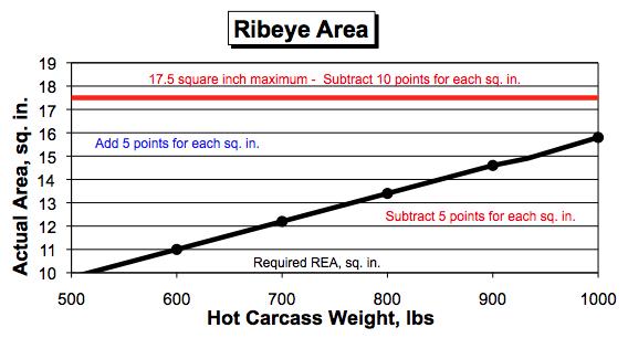 Page 3 of 6 The preceding graph demonstrates adjustment for the difference of the actual and required REA for various carcass weights. Bonus and penalty points can also be calculated mathematically.