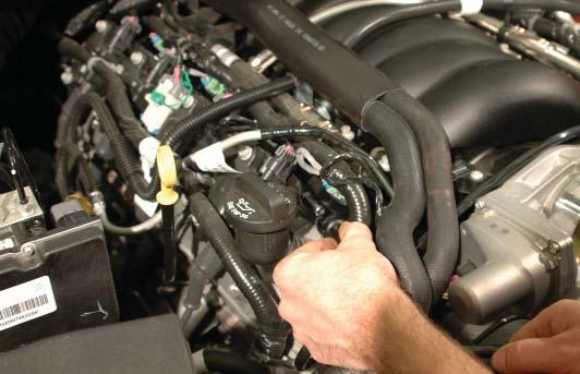 Remove the pinch clamps on the heater hoses from the water-pump hose barbs and pull