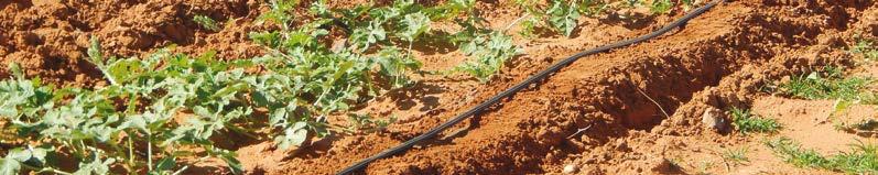 STREAMLINE PLUS INTEGRAL DRIPPER 12060-12080 - 16055-16060 - 16080-22060 - 22070-22080 APPLICATIONS Single season crops irrigation.