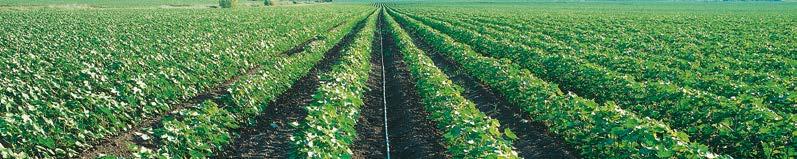 ARIES TWD INTEGRAL DRIPPER 16125-16150 - 22125 22135-22150 APPLICATIONS n On-surface multi seasonal row crops. n Permanent sub-surface multi seasonal row crops.