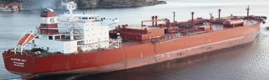 term shipping partner 7 VLGC
