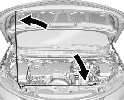 Before closing the hood, check that all filler caps are properly installed. Then, lift the hood to relieve pressure on the hood prop. 2.