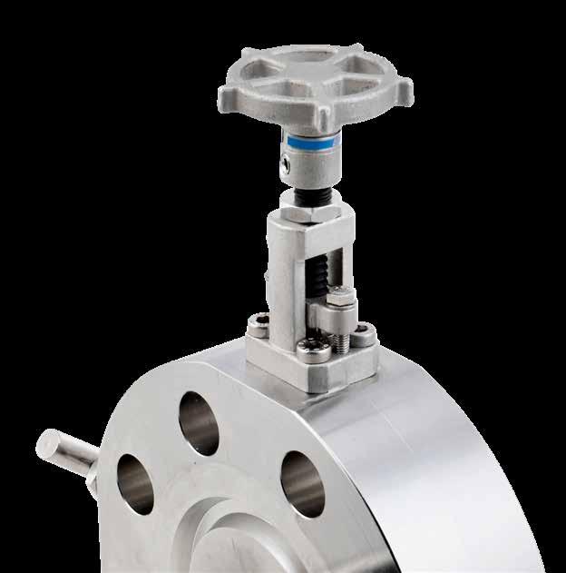 OVERVIEW The ASTAVA monoflange range is designed to seamlessly connect process piping to instrumentation.