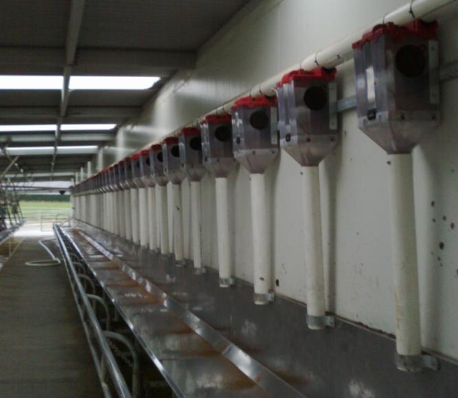 Herringbone In-shed systems Advanced Feed Solutions Herringbone feeding systems offers precise and individual feeding.