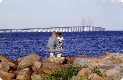 Cross-border cooperation behind Øresund IT Copenhagen Capacity Regional inward investment agency for Greater Copenhagen Position Skåne