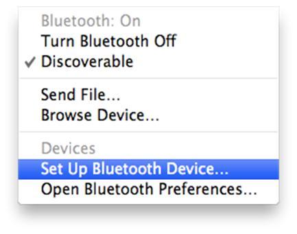 3. Pairing Bluetooth interface. (NOTE: You only have 60 seconds to pair the Bluetooth scanner from the time you connect it to the car to the time of entering the Pairing code.