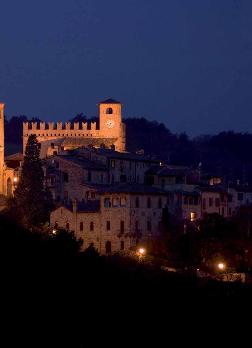ProControl is located at the foot hills of an ancient medieval castel built in the early XII century.