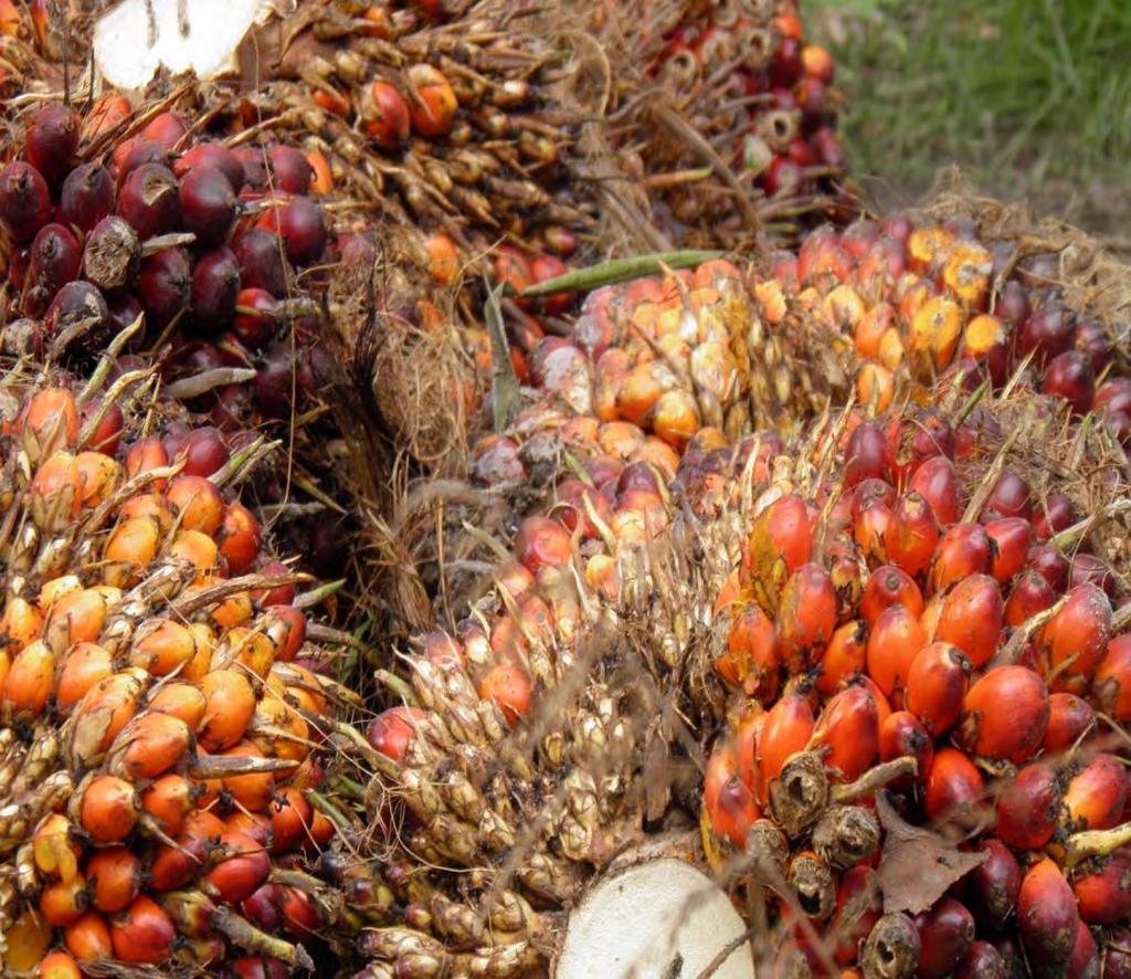 The crude palm oil we use is sustainable 100% certified (ISCC) since 2013, annually audited by independent 3rd parties 100% traceable to plantation since 2007 Reduces greenhouse gas