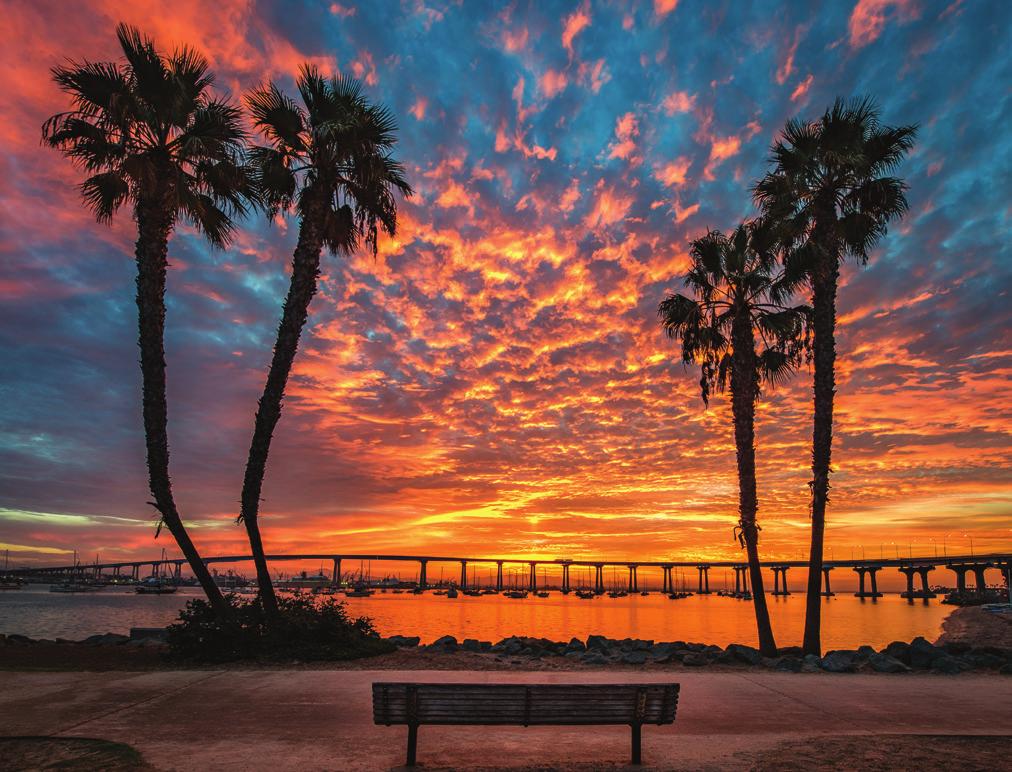Coronado Tidelands Park February Groundhog Day 10 11 12 13 14 Valentine s Day 15 16 17 18 Presidents Day 19 20 22 23 24 25 26 27 28 American Heart Month AMD/Low Vision Awareness Month National