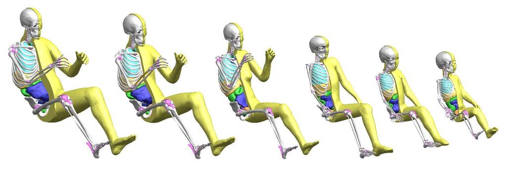 Virtual Human Body Model: THUMS