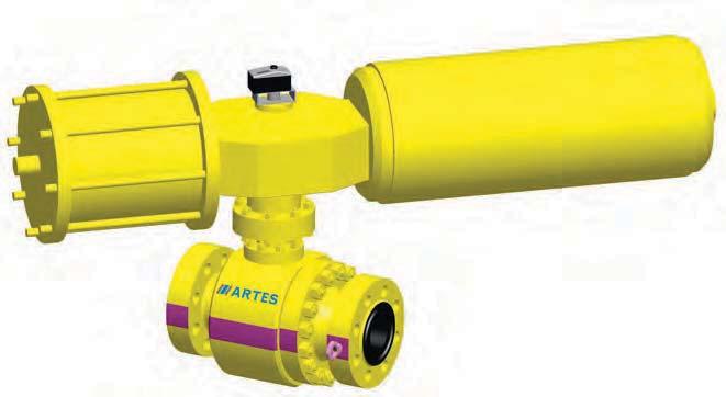 Versions / Applications The valves shown here are representative of the