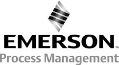 LINER Neither Emerson, Emerson Process Management, nor any of their affiliated entities assumes responsibility for the selection, use or maintenance of any product.