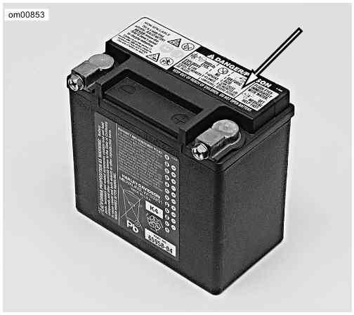 Battery Warning Label: Sportster Models Voltmeter Test Refer to Voltmeter Test. The voltmeter test provides a general indicator of battery condition.