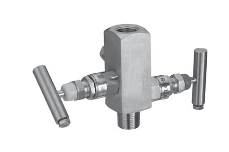 Gauge Valves - EG35 GAUGE VALVES The EG35 gauge valve, with a female or male inlet, female or male outlet and integral vent valve, meets the application requirement for a block and bleed valve