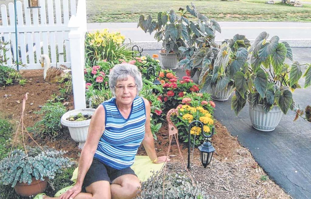 JULY 22, 2010 SURRY SCENE 9 Growing Angel Wings Betty Jo Burton of Elkin works in her flower garden and is most proud of her Angel Wings that grow in potted containers, right.