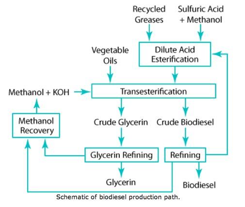 Biodiesel -