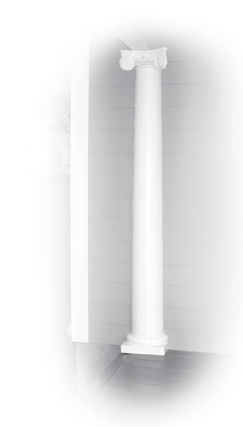 Pilaster COLUMNS ADD AN ELEMENT OF SOPHISTICATION TO EVEN THE SMALLEST SPACES For those special projects that may need a unique pilaster column DSI has the ability to meet your specifications.