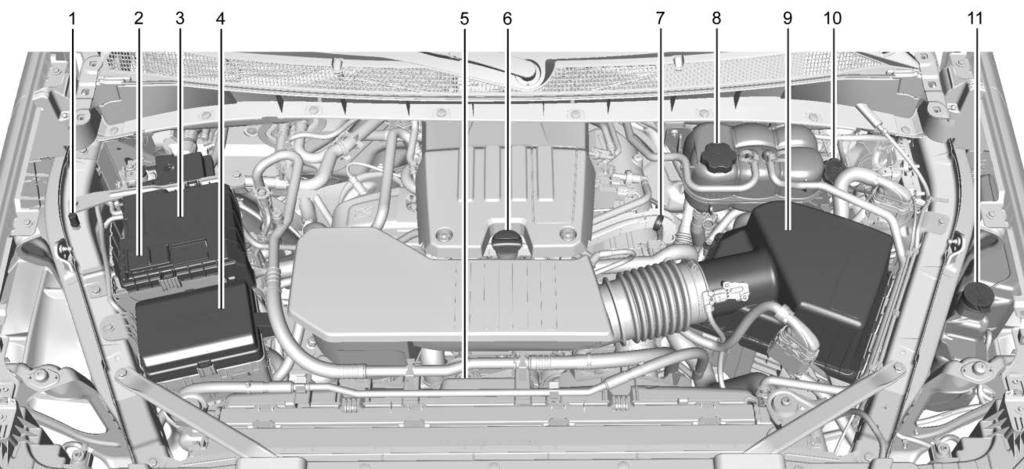 316 Vehicle Care Engine
