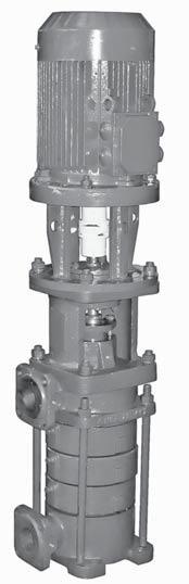CNSv series Centrifugal Multistage Vertical Pumps CNSv SERIES CENTRIFUGAL MULTISTAGE VERTICAL PUMPS APPLICATION The centrifugal multistage vertical pumps of the CNSv series are intended for feed