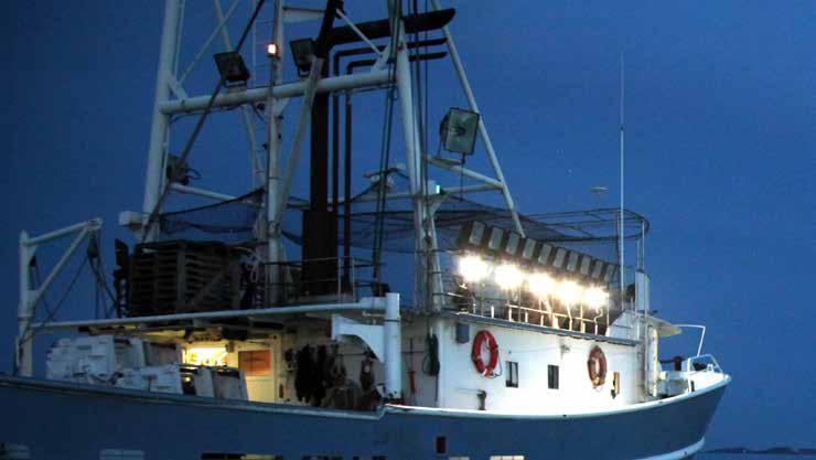 Exterior Lights FL40 Powerful LED Floodlight IP Application For various deck areas, to illuminate the environment of the vessel Design Designed according to IEC, EN and maritime requirements Ambient