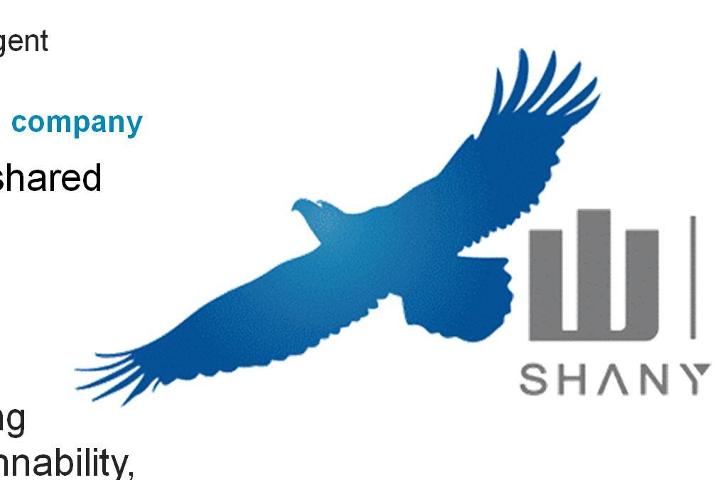 Summary Shanying International is a fast growing company undergoing capacity expansion and intelligent management development, aims to become an environmentally friendly and sustainable global